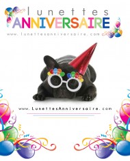 lunettes-anniversaire-chien